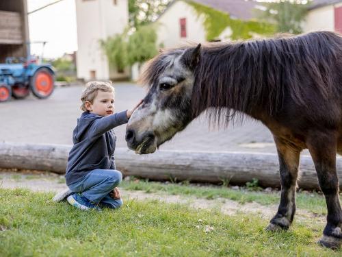 Ohr-Kinder-Tiere-15