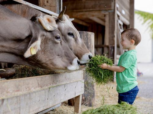 Ohr-Kinder-Tiere-27