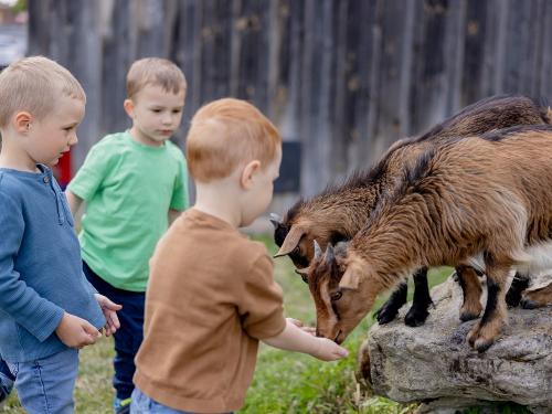 Ohr-Kinder-Tiere-37