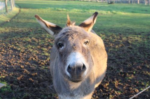 Tierpark Weeze