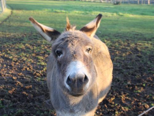 Tierpark Weeze Tierpark Weeze