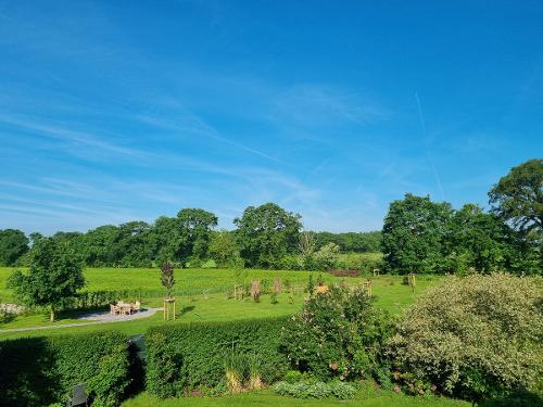 der große Gästegarten der große Gästegarten