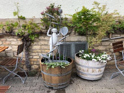 ...Lui unser Brunnenfrosch