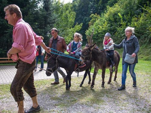 Eselreiten Eselführerschein für Kinder