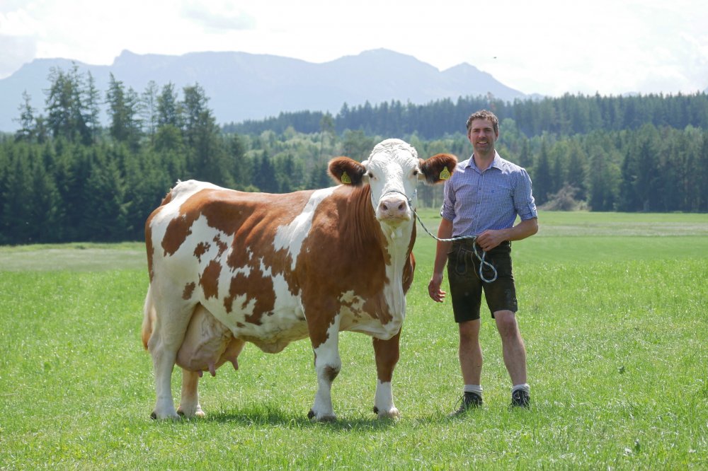 Der Huberhof in Hinzing im schönen Chiemgau