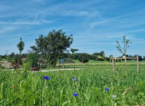 3 Camping-Stellplätze im Grünen