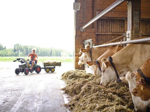 Unvergessliches Bauernhoferlebnis