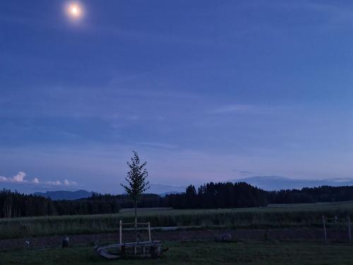 Bauernhof-Camping unter dem Sternenhimmel