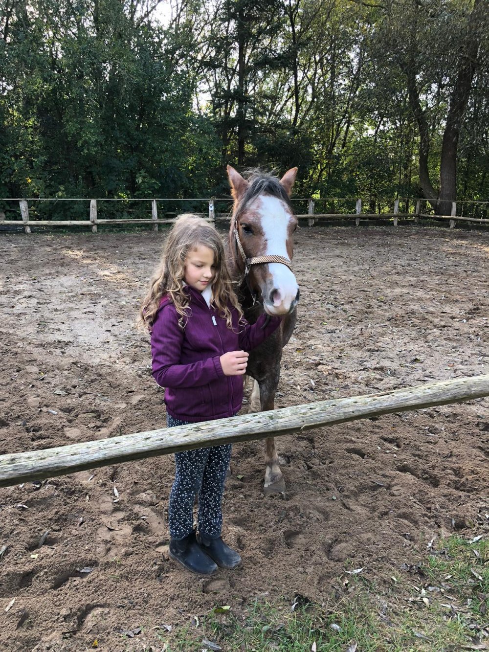Spaß mit Ponys