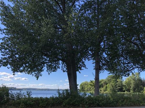 Seeblick