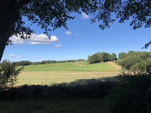 Blick in unsere Umgebung