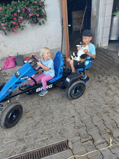 Kinder,Gokart,Katze