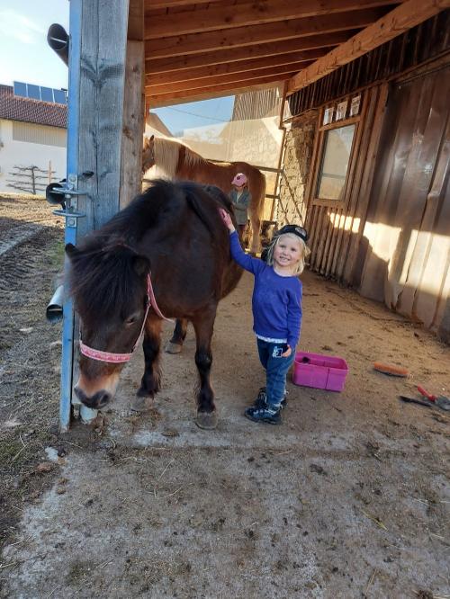 Spaß beim Pony putzen