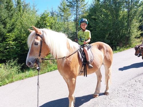 auch Jungs können reiten
