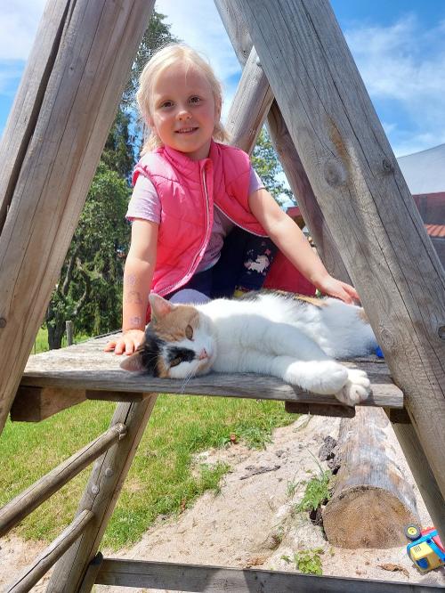 Die liebe Katze Lotta
