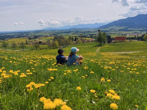 Frühling in Mittelberg beim Panoramawanderweg