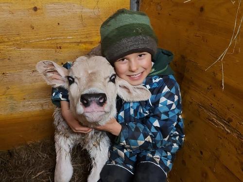 unsere geliebten Kälbchen