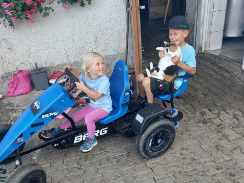 Kinder,Gokart,Katze