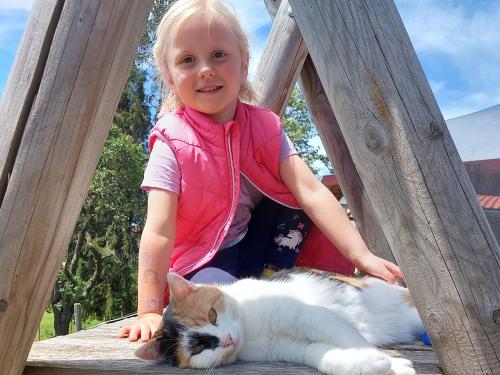 Die liebe Katze Lotta