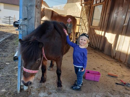 Spaß beim Pony putzen