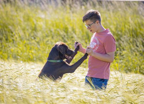 Freundschaft