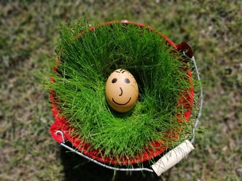 Ostern  10