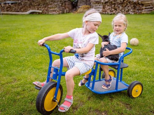 Taxidreirad Taxidreirad