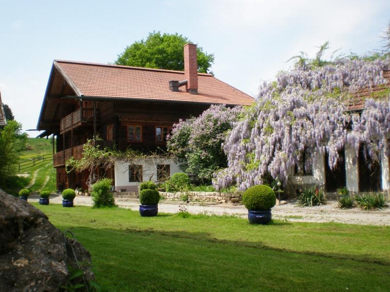 Wohnhaus mit Blauregen