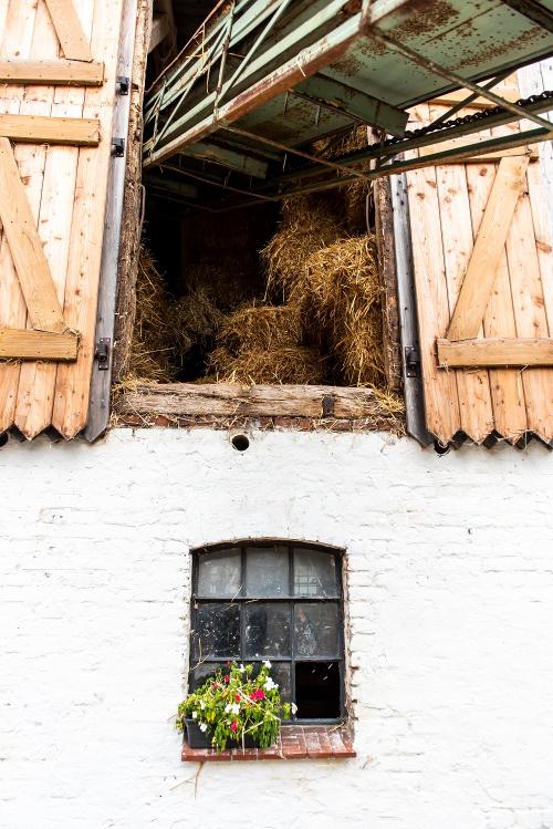 0017_thielsenhof_2021