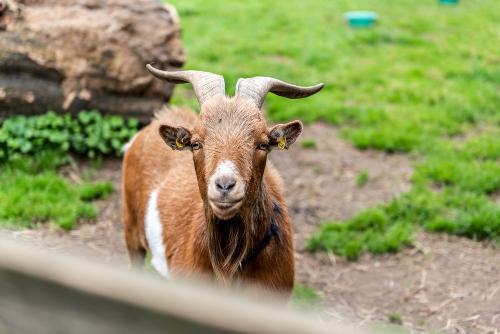 0030_thielsenhof_2021