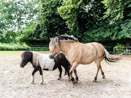 Estrelle und Yella Estrelle und Yella