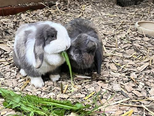 Moritz und Twixi Moritz und Twixi