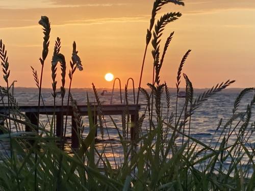 Westerholz Westerholz