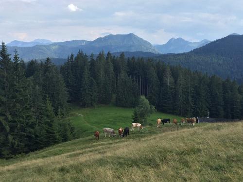 Unsere Alm am Tegernsee