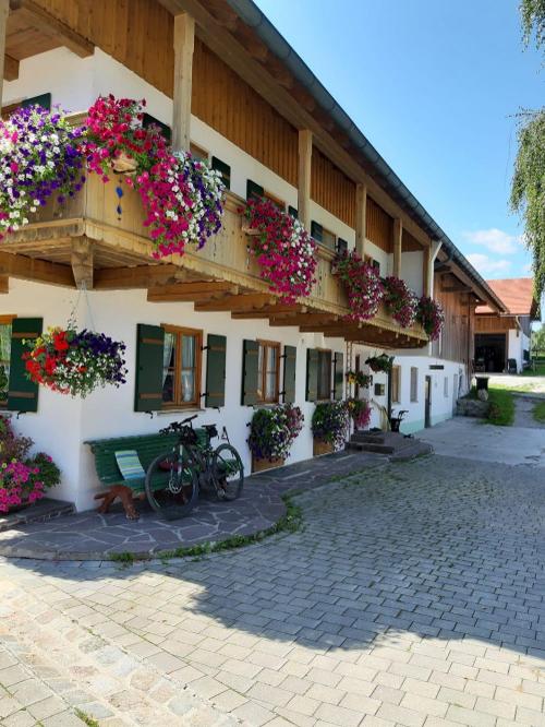 Hofbild
