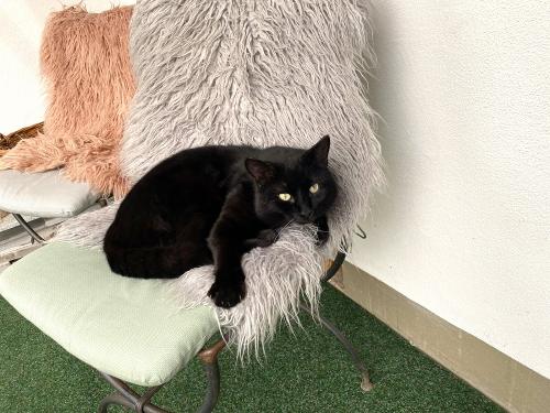 unserekatze