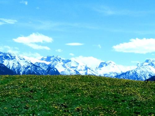 ausblickimfrhling