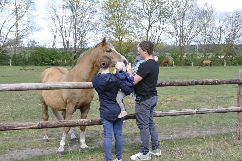 Familie mit Pferd