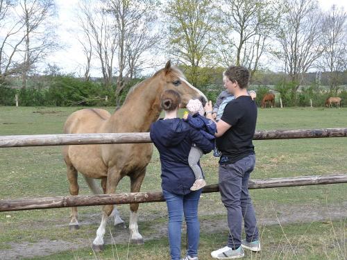 Familie mit Pferd