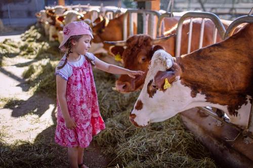 Kinder bei Kühe