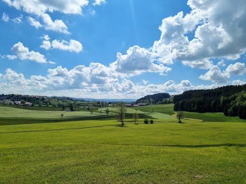 Unser Feld