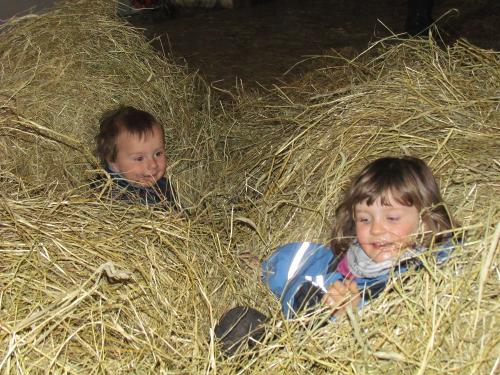 Kinder im Heu