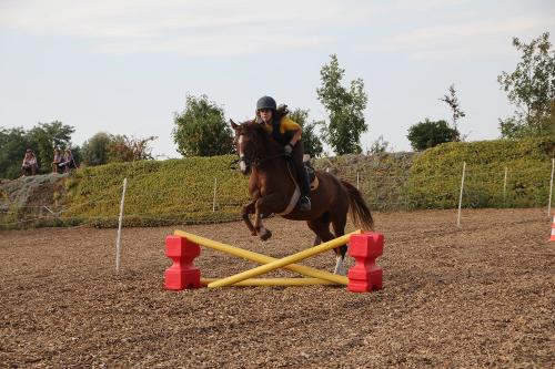 X-Sprung reiten