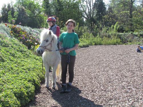 Ponyreiten