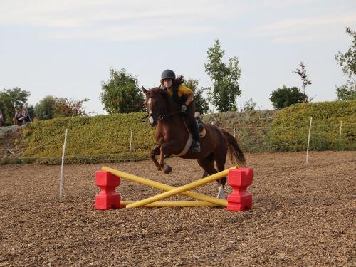 X-Sprung reiten