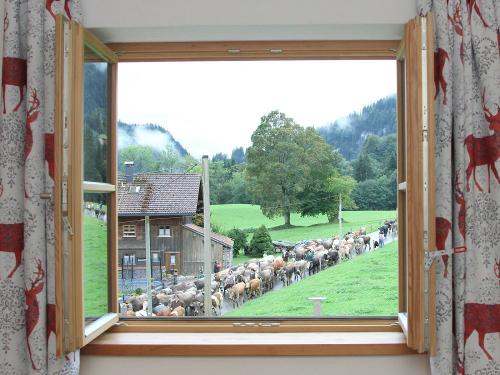 Welch ein Ausblick!
