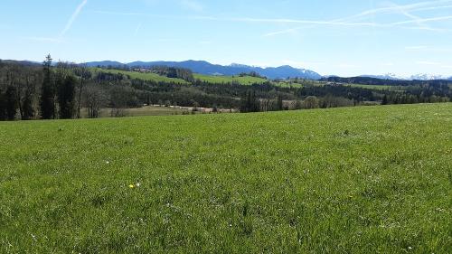 Blick vom Balkon