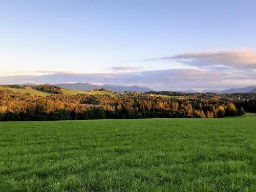 Blick vom Balkon