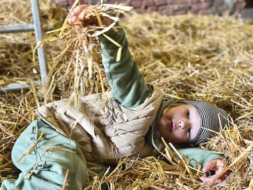 strohboden strohboden