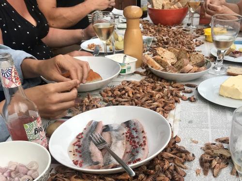 krabbenpulen krabbenpulen